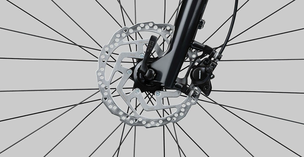 Radon Scart Light 9.0 Lady 8 Radon Scart Light 9.0 Lady – Image 6