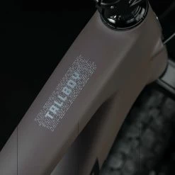 Santa Cruz Tallboy 5 C S -Vélo Soldes Santa Cruz 192219250113 20123431 Tallboy 5 C S 4iB1G55TtrjFPE