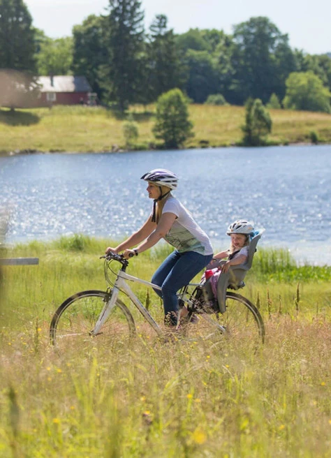 Siège Porte-bébé Vélo Arrière - Hamax 3 Siège Porte-bébé Vélo Arrière - Hamax